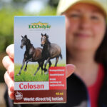 colosan bij koliek paard venkel voor paarden