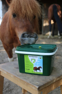 elektrolyten paard koliek bij paarden