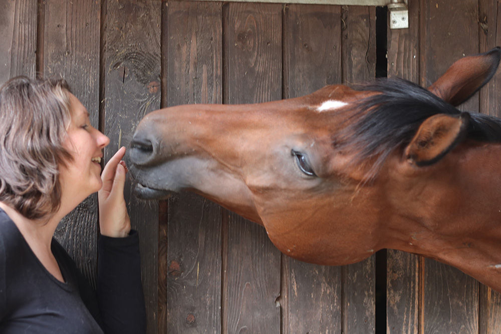 Wensbede van het paard