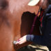 hartslag paard meten
