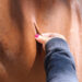 vocht te kort paard controleren