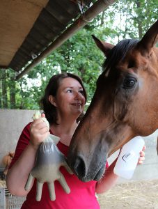 paard controleren op zandkoliek