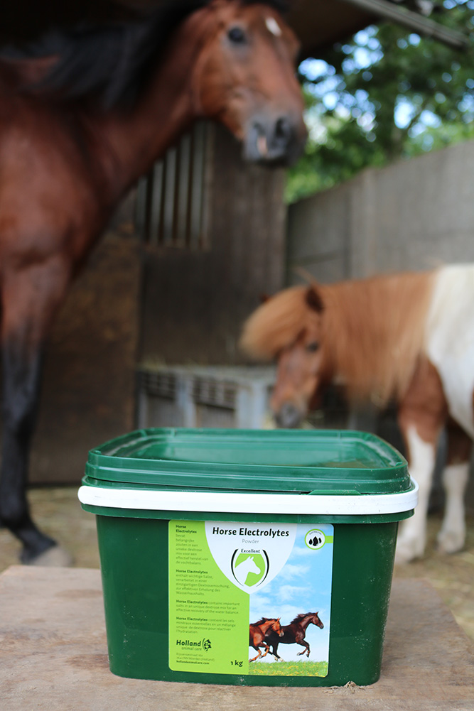 Elektrolyten en koliek paard