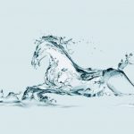 het waterpaard vijf elementen 5 elementen