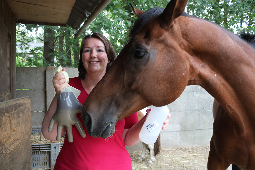 paard controleren op zandkoliek