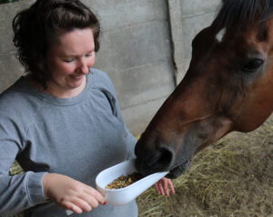 paard voeren