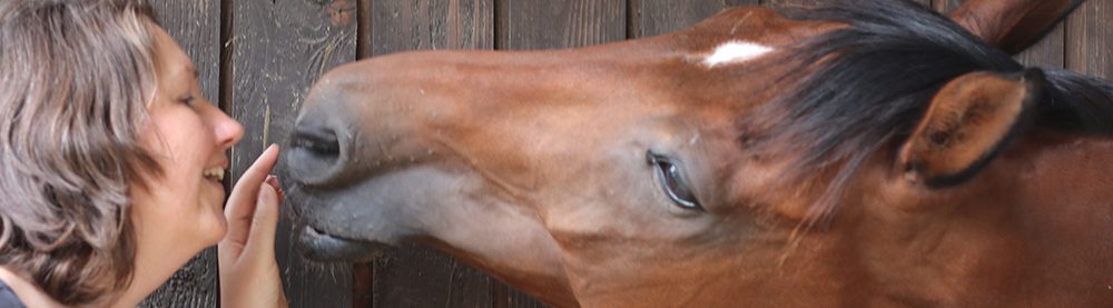 Communiceren met dieren, chakra's astrologie, kruiden voor paarden