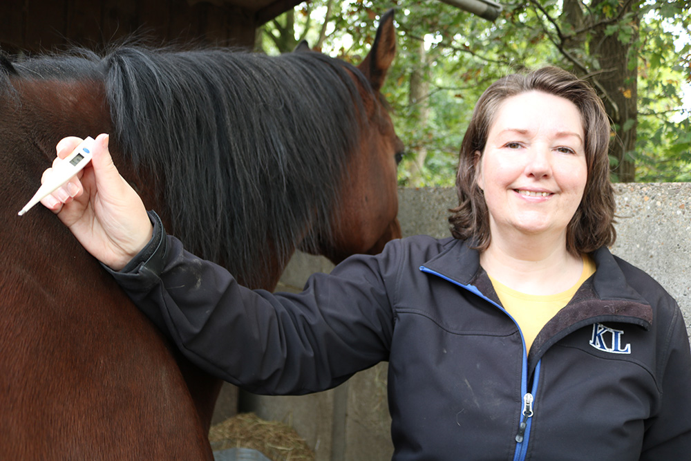 Temperatuur van je paard meten