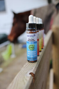 bachbloesems voor paarden Bach rascue remedie
