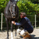 fascia paard behandelen groene leem voor paarden rozemarijnolie voor paarden wanneer een paard een eenhoorn wordt