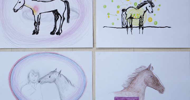 Reading, communiceren met paarden