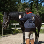 reading paard lymfedrainage paard rozemarijnolie voor paarden paardenkarakters lezen
