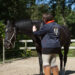 lymfedrainage paard