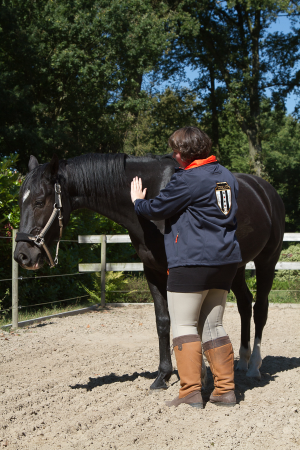 Communiceren met dieren, reading paard