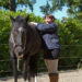 Bowentherapie paard