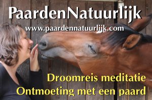 paardennatuurlijk meditatie