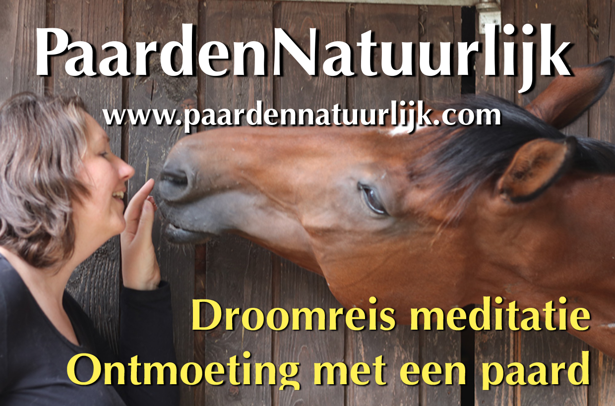 Droomreis meditatie; ontmoeting met een paard