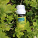 tea tree olie paard
