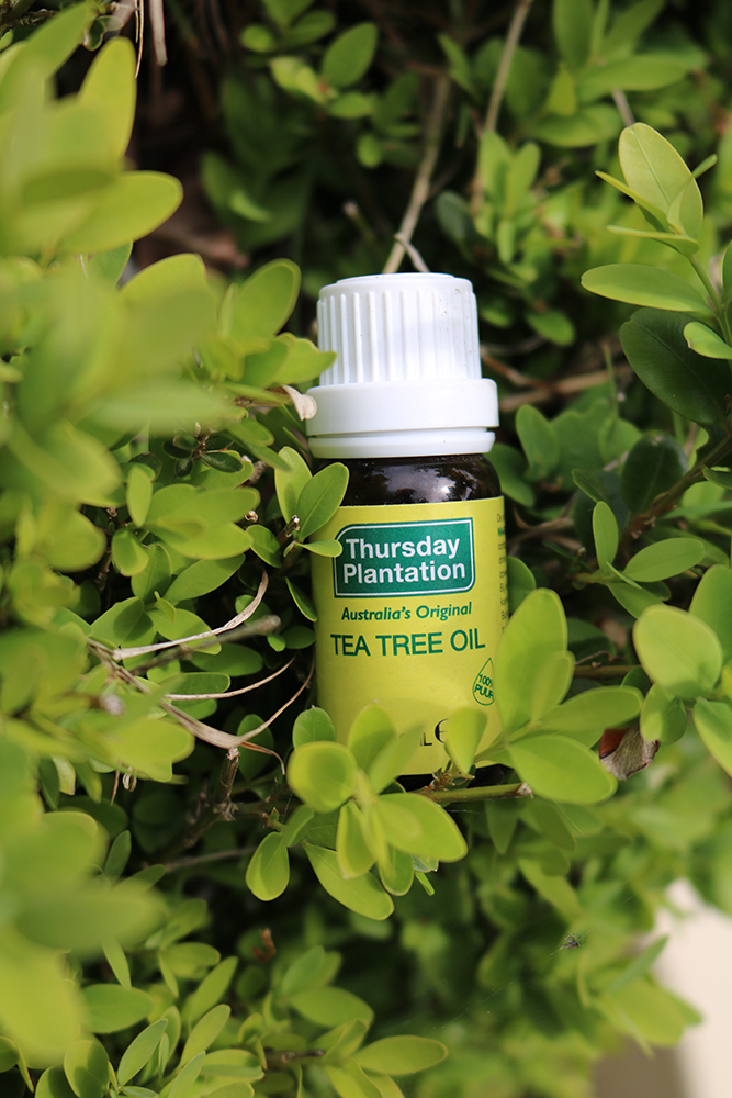 tea tree olie paard