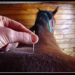 dryneedling paaard