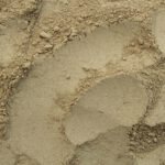 duivelsklauw voor paarden