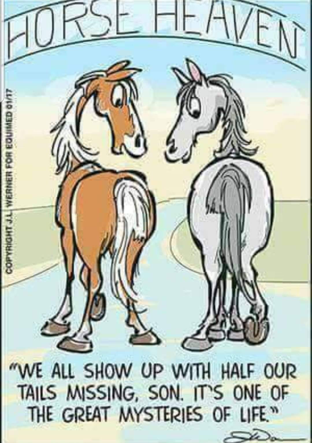 Paarden in de hemel hebben geen staart