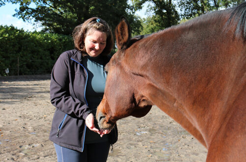 paarden en aromatherapie