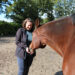 paarden en aromatherapie