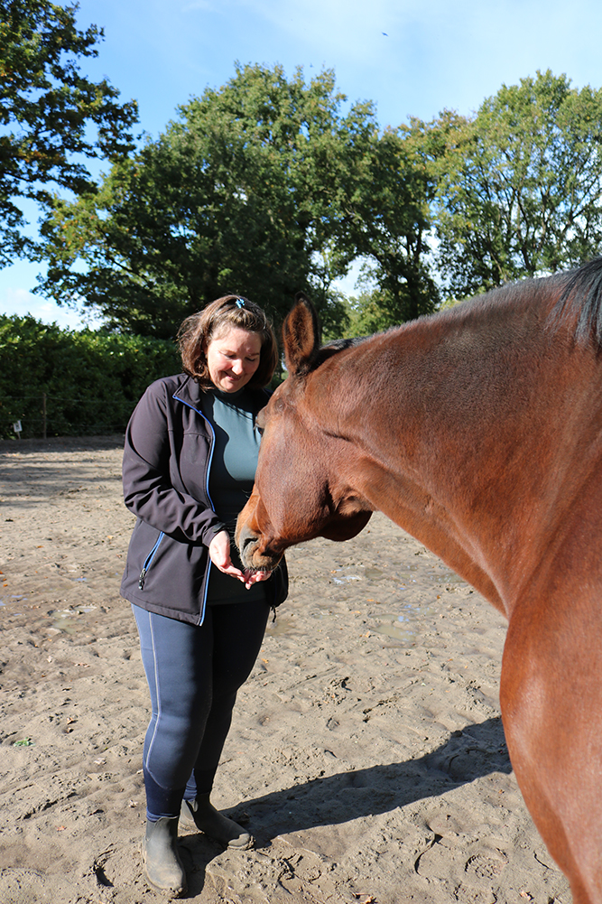 Paarden en aromatherapie; cipres