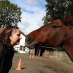 communiceren met dieren hsp en paarden