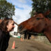 communiceren met dieren