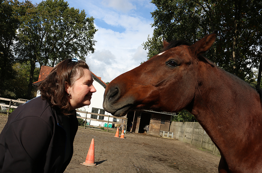Communiceren met dieren, reading jong paard