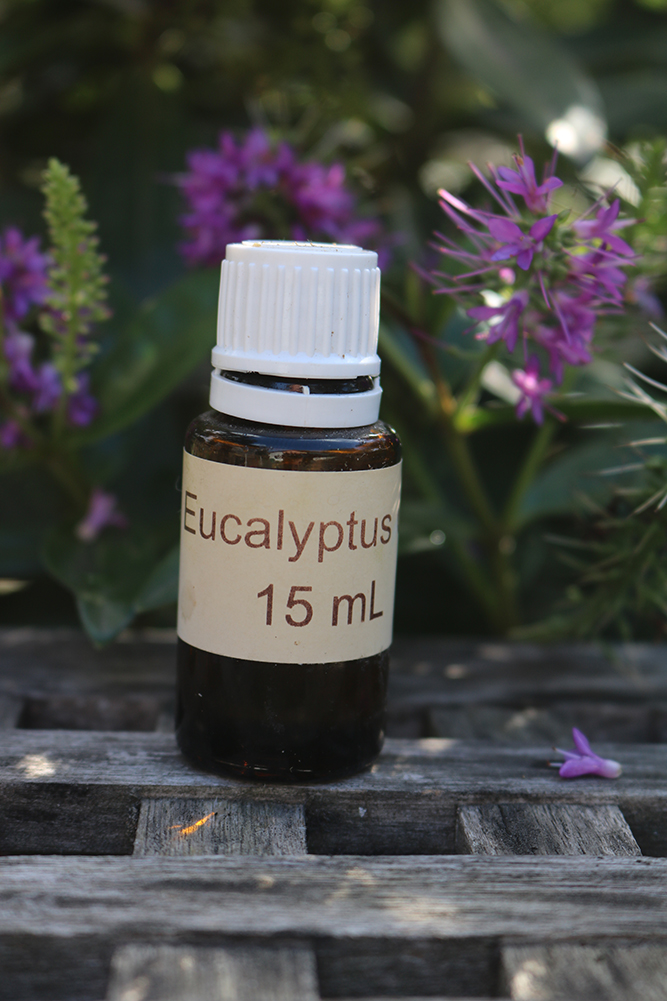 eucalyptus etherische olie
