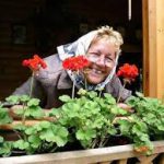 geranium voor paarden