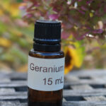 geranium voor paarden