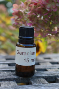 geranium voor paarden