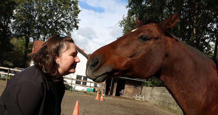 Reading van een jong paard