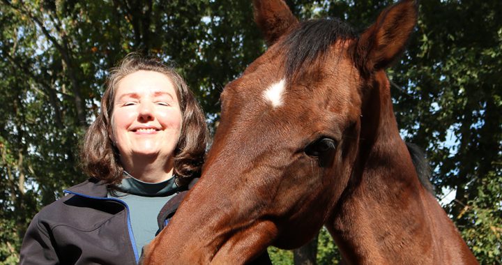 Ademhaling paard controleren