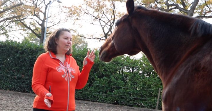 Oefenmiddag Communiceren met dieren