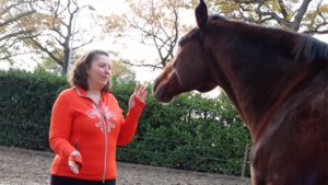 healing paard paardenkarakters lezen hsp hoog sensitief Telepatisch communiceren