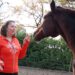 healing paard