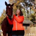 reading en healing paard communiceren met paarden healing bij dieren