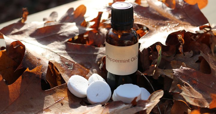Aromatherapie paard; pepermunt