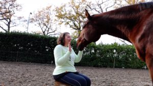 dierentolk healing paard reading telepatisch vermogen