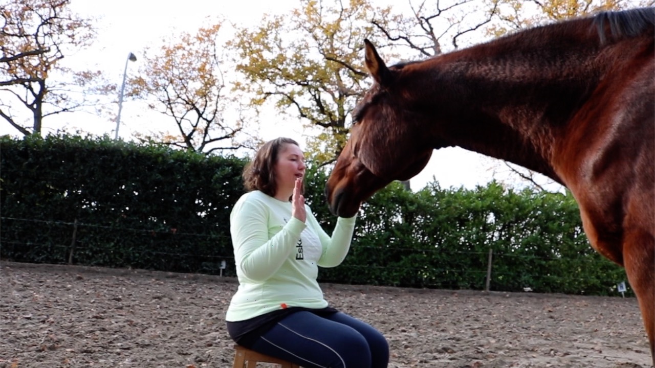 Communiceren met dieren, reading ouder of ziek paard