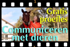 proefles communiceren met dieren