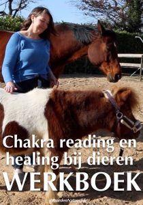 Werkboek chakra's bij dieren