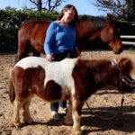 3e chakra Chakra's bij dieren het derde chakra telepathisch communiceren met dieren