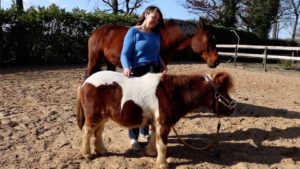 3e chakra Chakra's bij dieren het derde chakra telepathisch communiceren met dieren