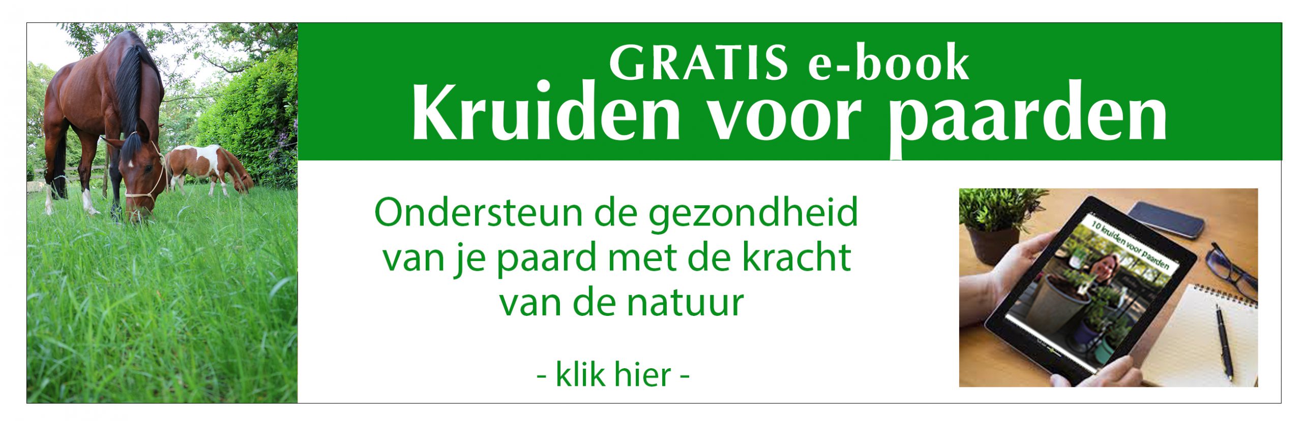 e-book kruiden voor paarden